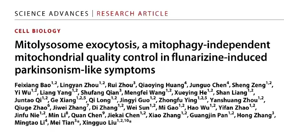 Science Advances | 刘兴国/田梅团队发现帕金森症线粒溶酶体（mitolysosome）胞吐的全新病理