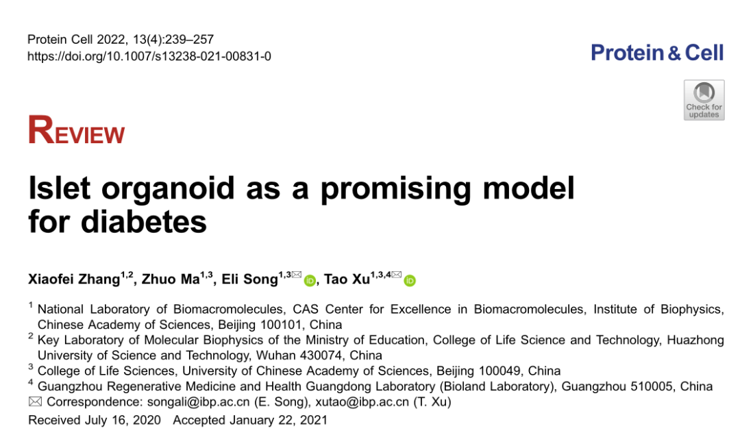 Protein&Cell | 徐涛院士团队发表综述：胰岛类器官用于糖尿病研究